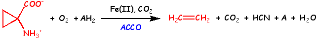 reaction.gif (3358 octets)