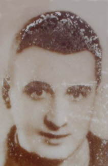 gialdino